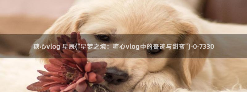 糖心vlog是：糖心vlog 星辰(\