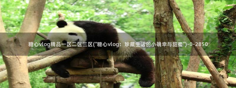 糖心vlog官网app下载：糖心vlog精品一区二区三区