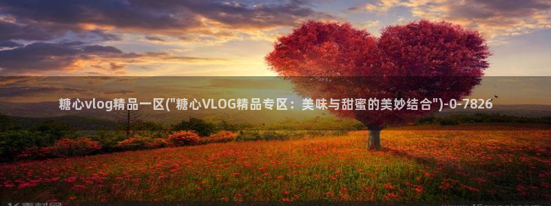 糖心原创vlog：糖心vlog精品一区(\