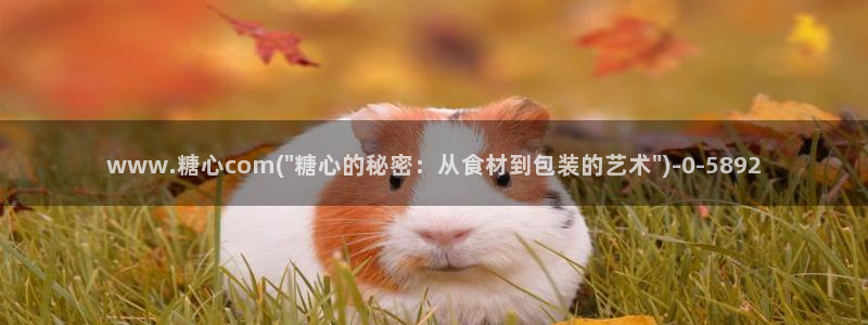 糖心vlog视频app：www.糖心com(\