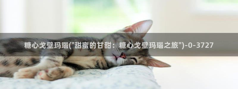心糖vlog完整版免费观看：糖心戈壁玛瑙(\